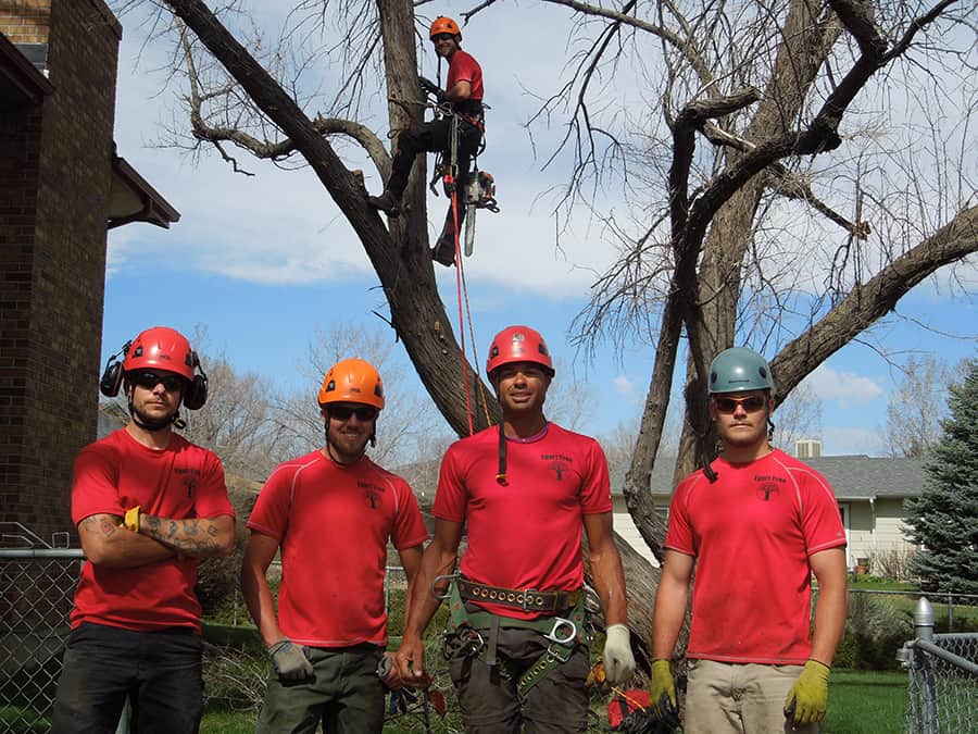 Tree removal bucket truck in Denver CO