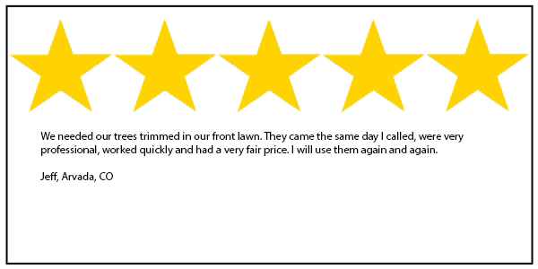 tree service 5 star review in Arvada CO Arvada tree service 5 star review