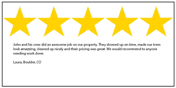 tree service 5 star review in Boulder CO Boulder CO tree service 5 star review
