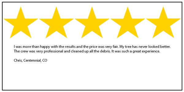 Centennial tree service 5 star review