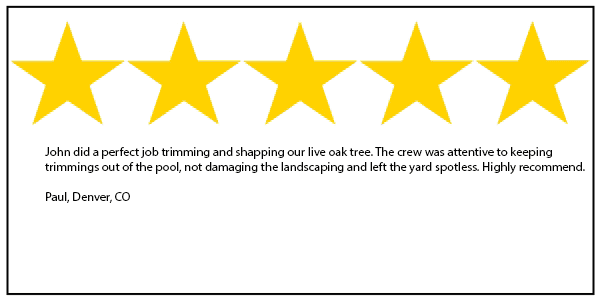 Denver CO tree service 5 star review