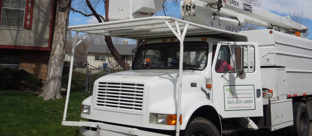 Storm Season Prep: Tree Removal and Trimming Services in Aurora, CO