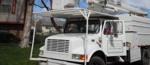 Tree Removal Company Aurora CO - John Egart's Tree Service Tree Service Company Aurora CO