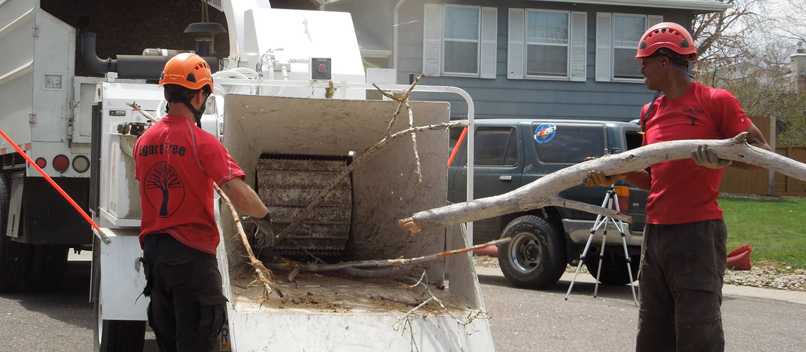 Tree Service Company Boulder CO