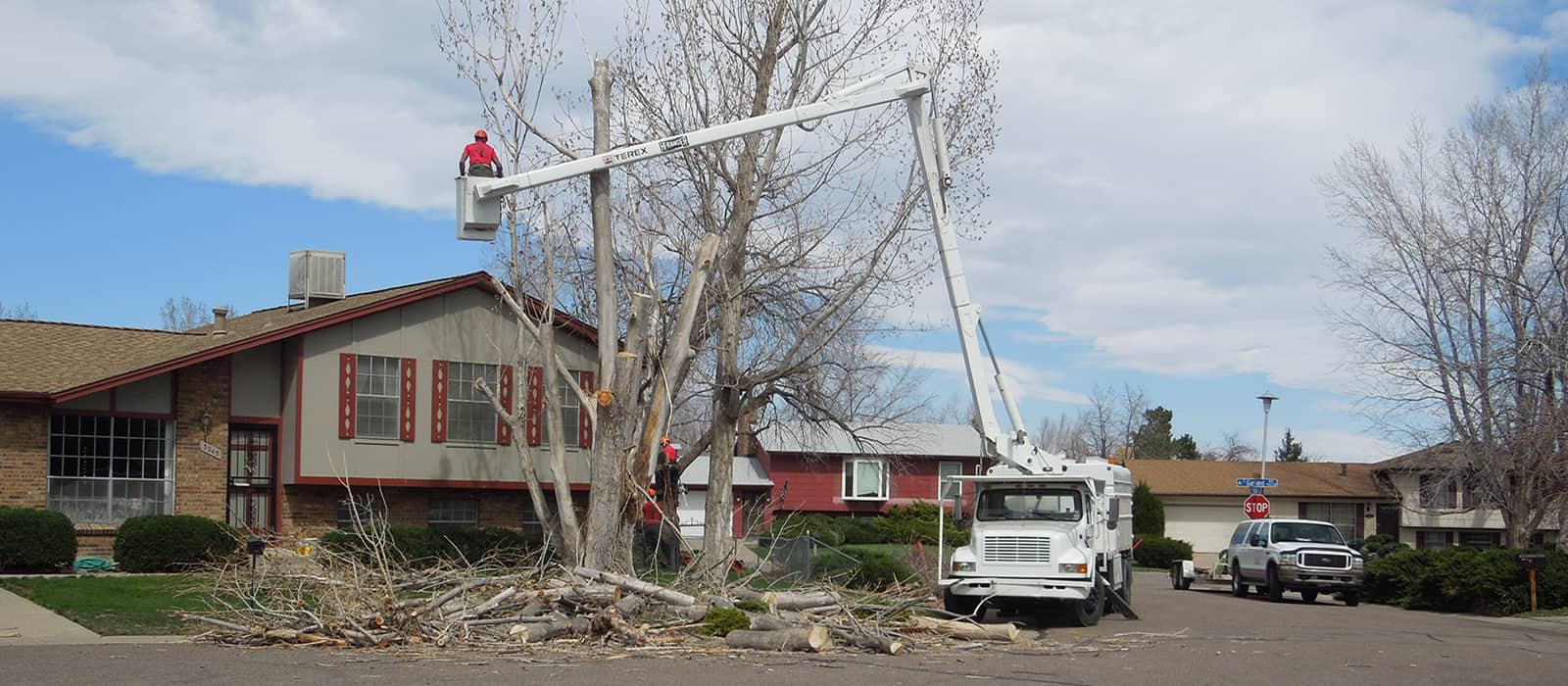 Tree Service Centennial CO tree service and tree removal pros in Centennial CO