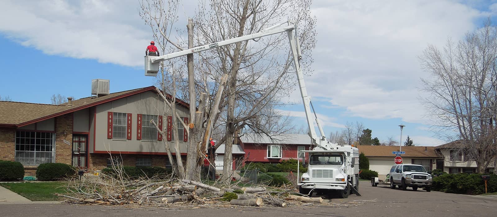 Tree Service Company Centennial CO