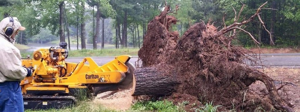 stump grinding example in Denver