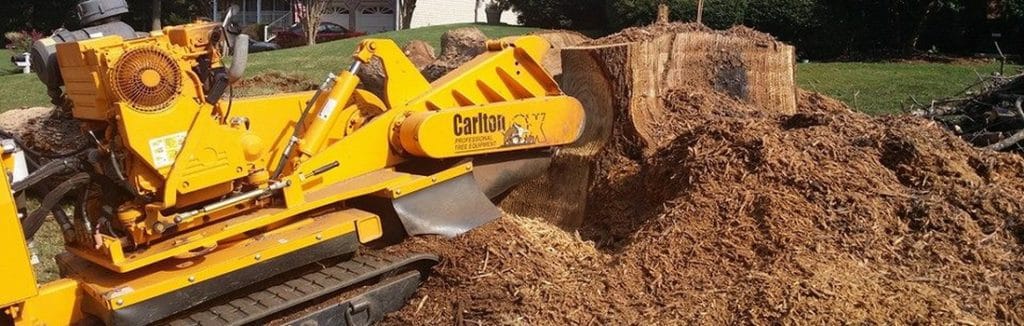 Stump removal stump grinding Denver CO