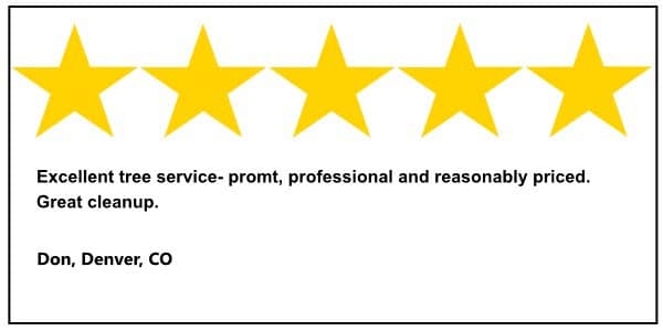 5 Star Review Denver Tree Service