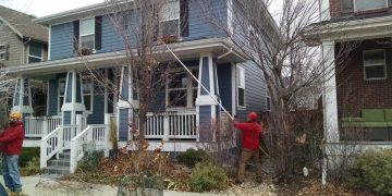 tree trimming in Littleton CO