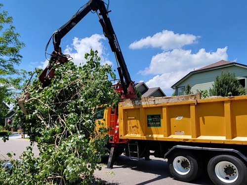 top-grapple-truck-service-in-denver-co