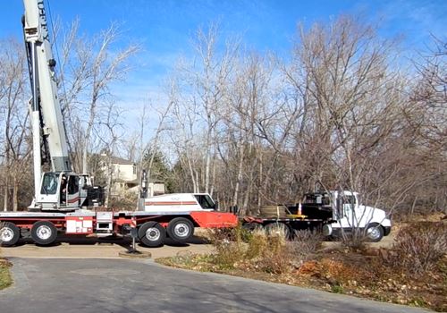 best-crane-tree-service-removal-in-Denver-Colorado