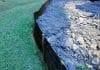 best erosion control service in Denver Colorado - John Egart's Tree Service best erosion control service in Denver Colorado