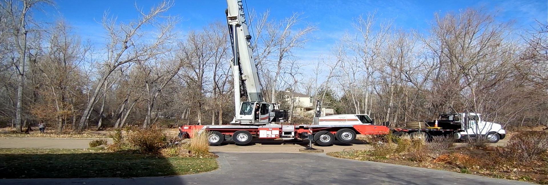 Crane tree removal experts Denver CO Tree needing removal from house in Denver CO