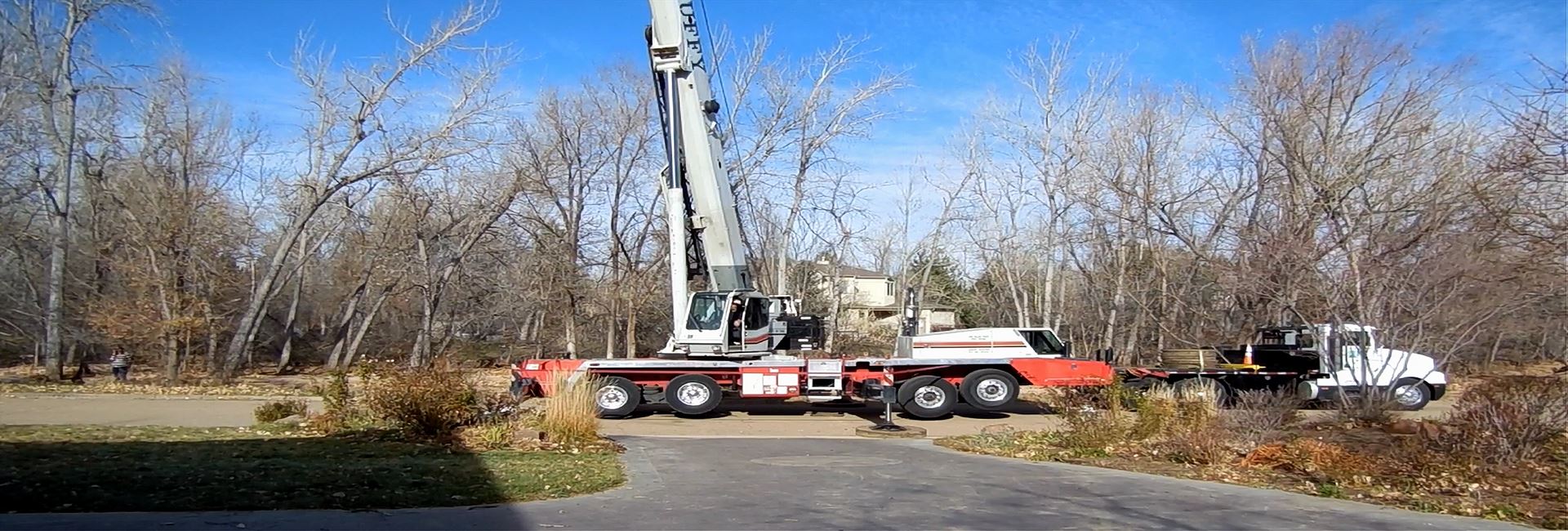 Tree needing removal from house in Denver CO