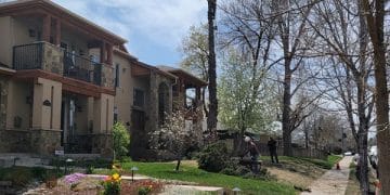 tree-removal-job-in-denver-co