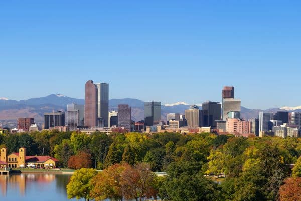 #image_title denver ash trees are beautiful